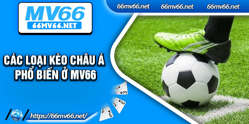 Các loại kèo châu Á phổ biến ở Mv66