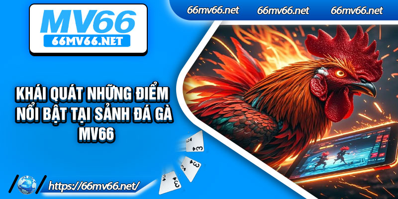 Khái quát những điểm nổi bật tại sảnh đá gà MV66
