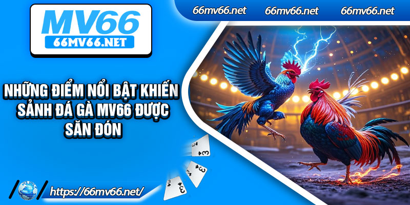 Những điểm nổi bật khiến sảnh đá gà mv66 được săn đón