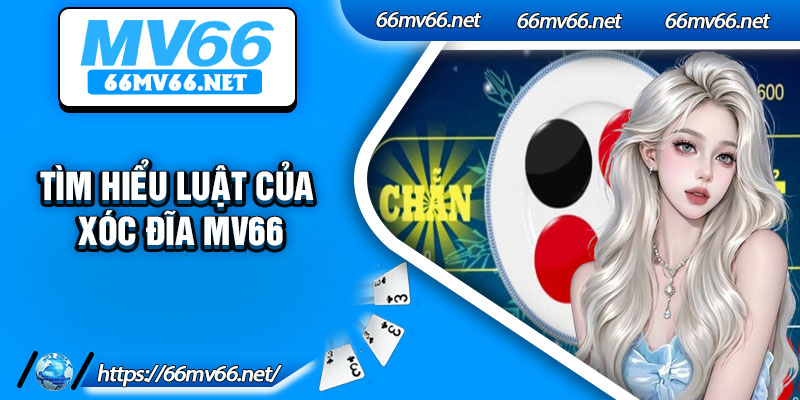 Tìm hiểu luật của xóc đĩa Mv66
